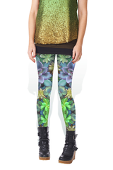 LEGGING - SUCCULENTS